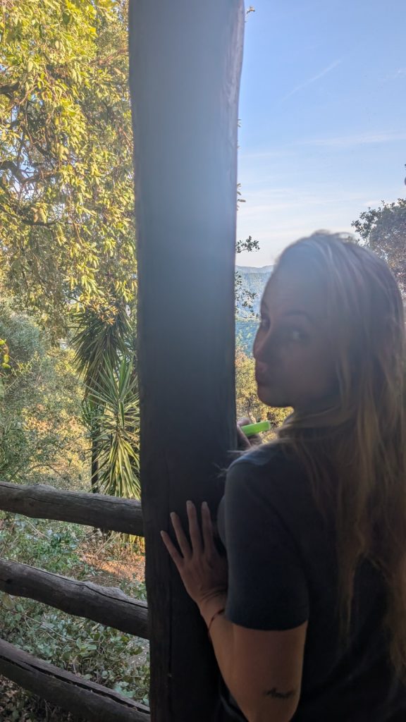 img 20251216 wa0004 img 20251216 wa0004